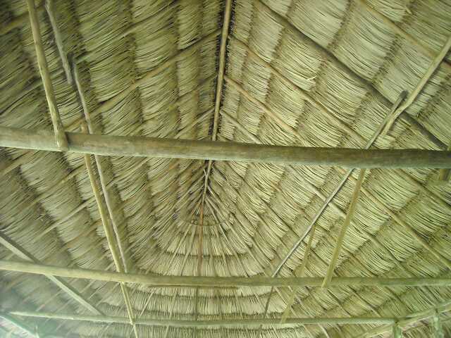 ch0dscn0792.jpg