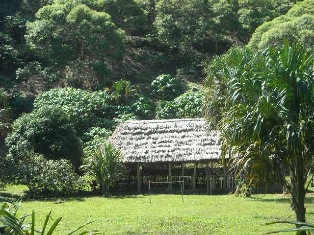 ch0dscn0797.jpg