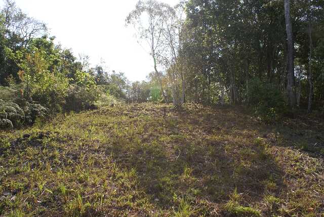fh01928.jpg