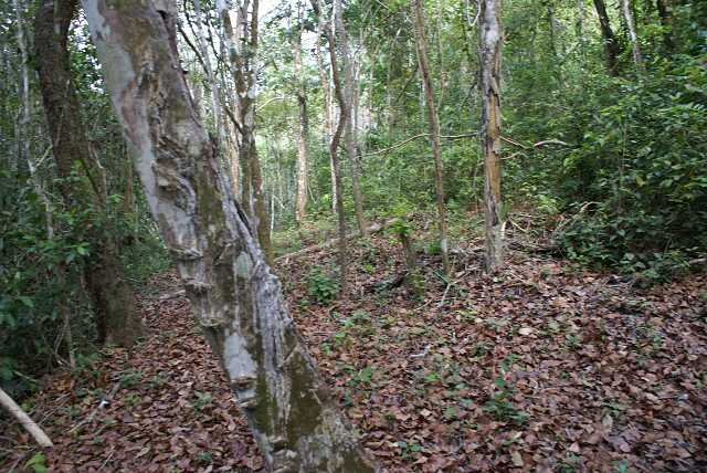 fh02002.jpg