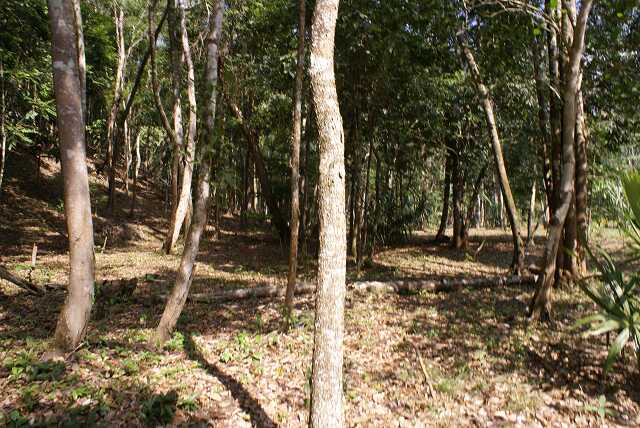 fh02021.jpg