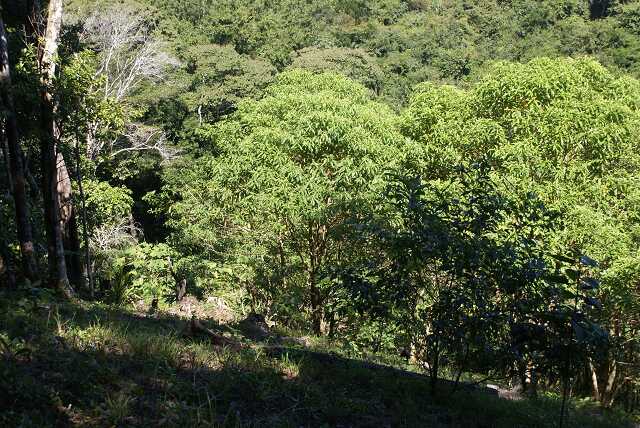 fh0dsc03371.jpg