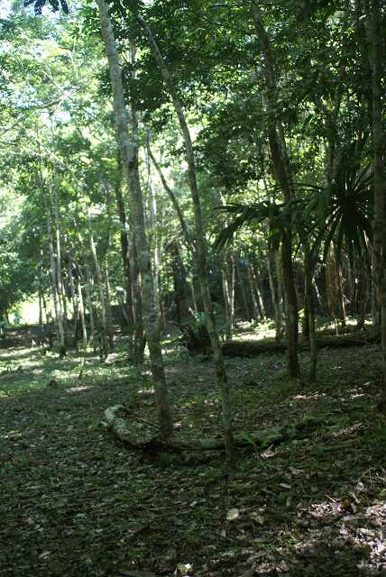 fi002357r.jpg