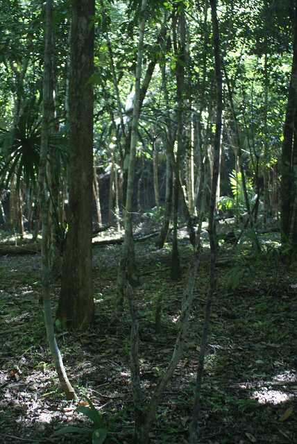 fi002358r.jpg