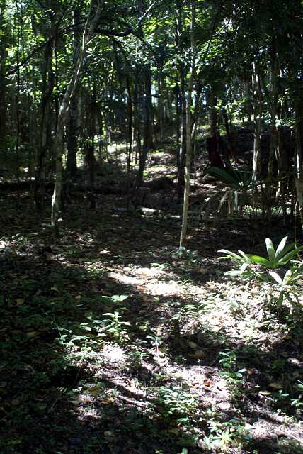 fi002363r.jpg