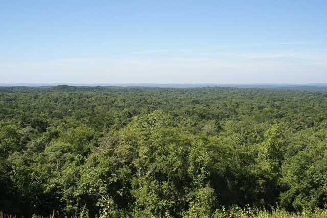 fi002378.jpg