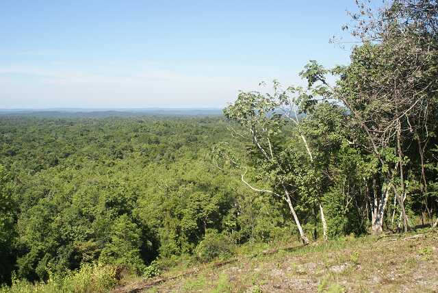 fi002379.jpg
