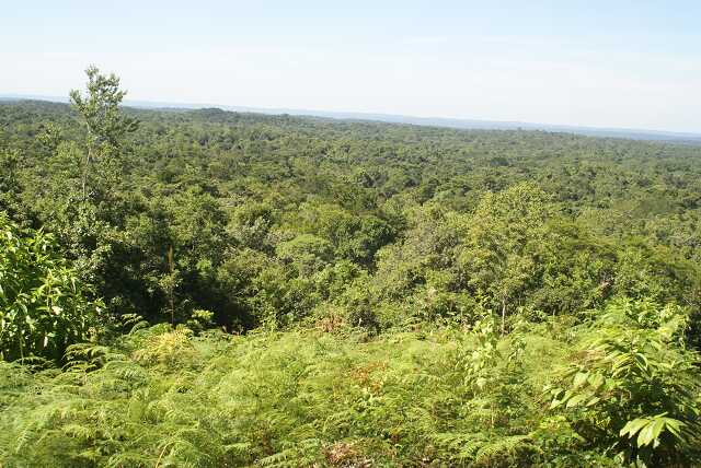 fi002386.jpg