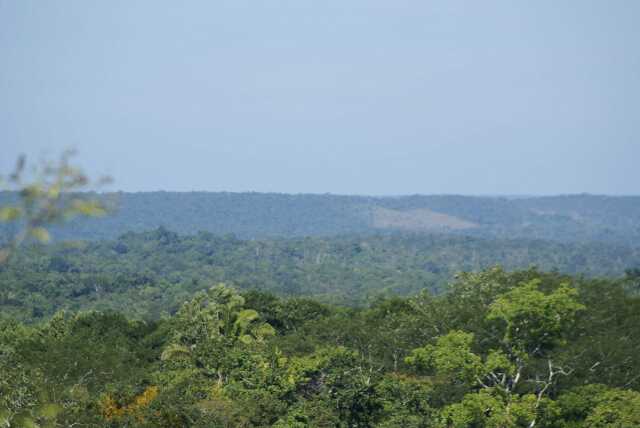 fi002401a.jpg
