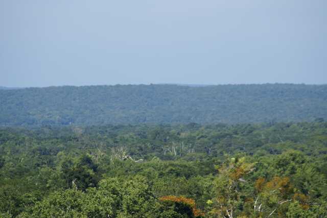 fi002403.jpg