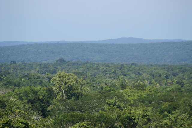 fi002404.jpg