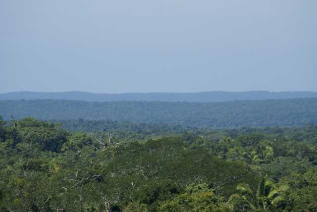 fi002405.jpg
