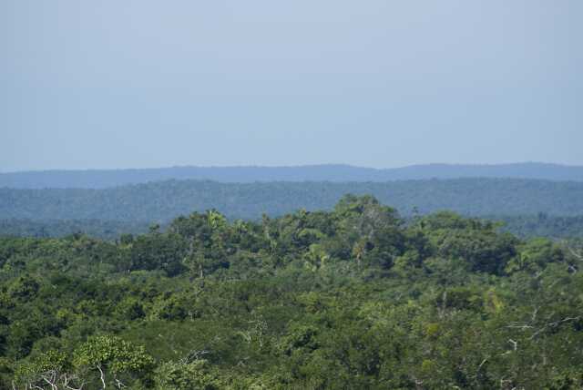 fi002406.jpg