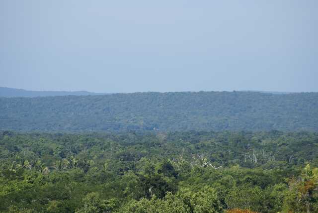 fi002407.jpg