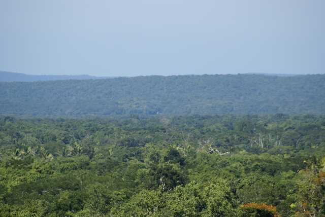 fi002408.jpg