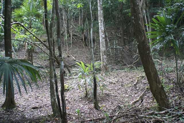 fi002436.jpg