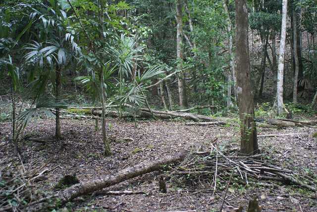 fi002437.jpg