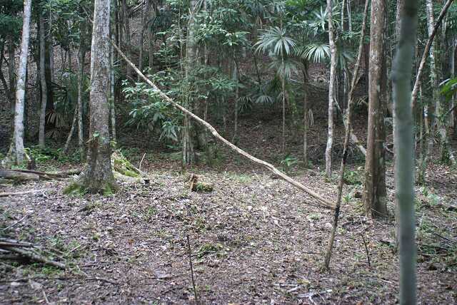 fi002438.jpg