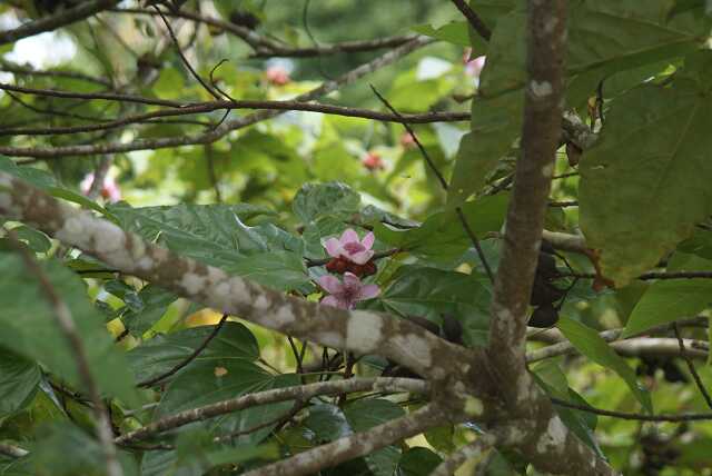 fi002448.jpg