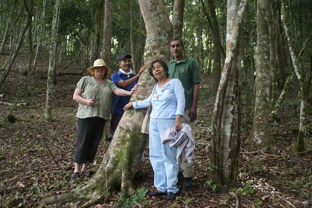 fi002461.jpg