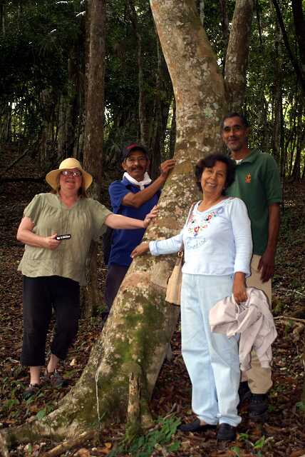 fi002462r.jpg