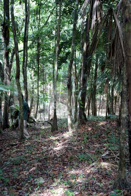 fi002479r.jpg