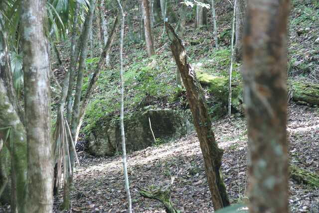 fi002485.jpg