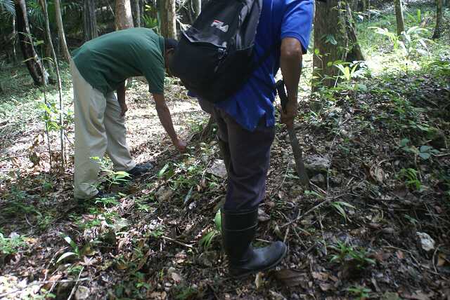 fi002486.jpg