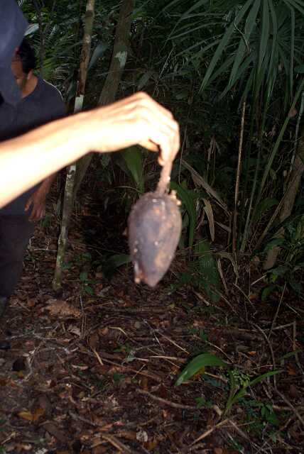 fi002507r.jpg
