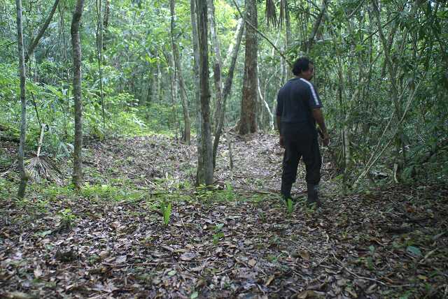 fi002512.jpg