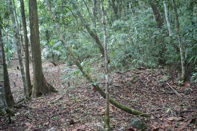fi002564.jpg