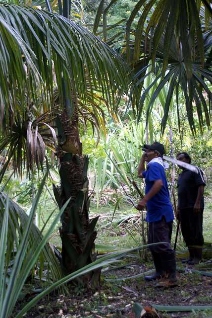 fi002583r.jpg
