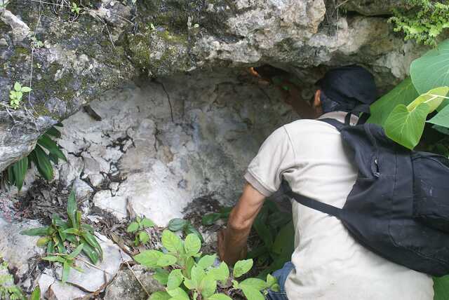 fi002614.jpg