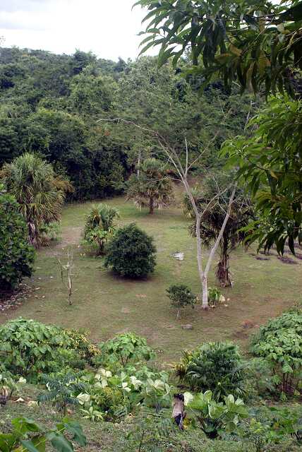 fi002624r.jpg