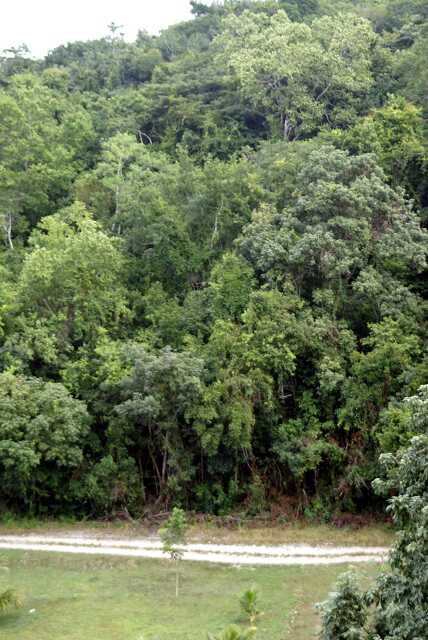 fi002639r.jpg