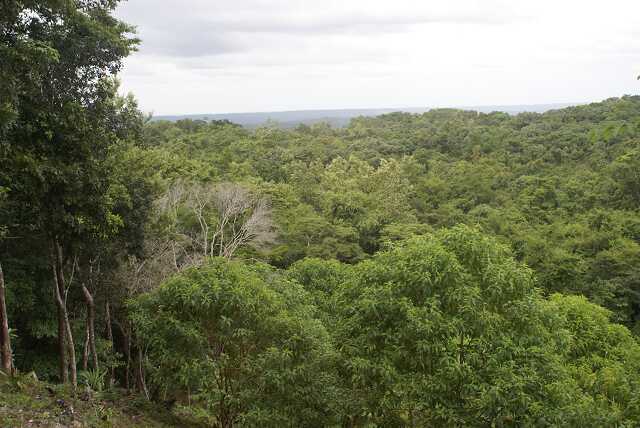 fi002643.jpg
