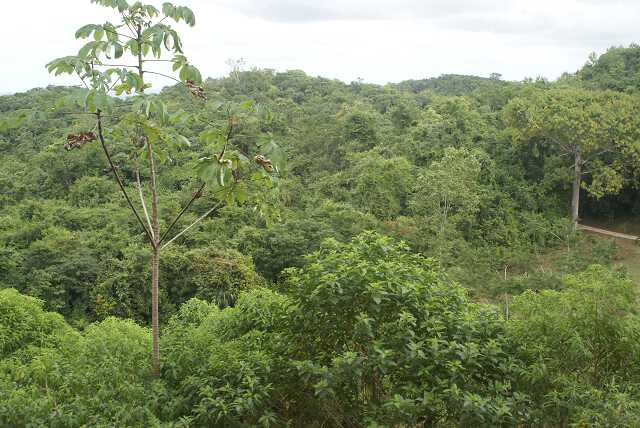 fi002644.jpg