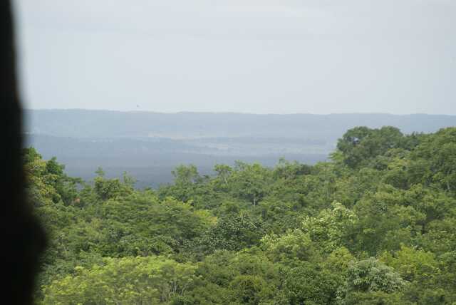 fi002661.jpg