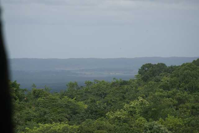 fi002662.jpg