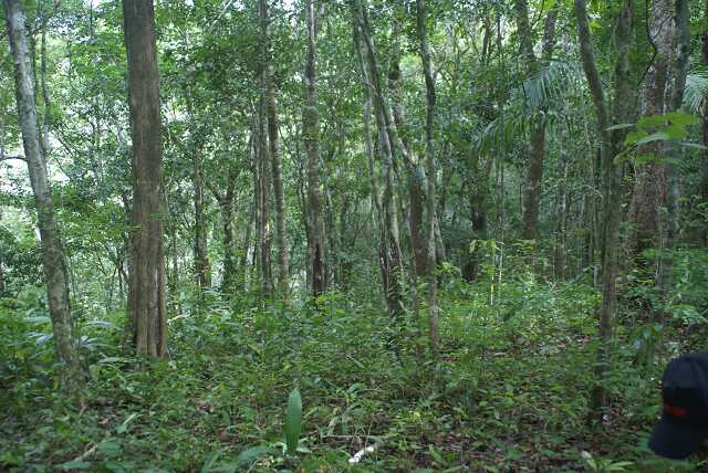 fi002699.jpg