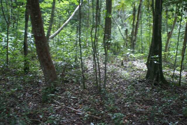 fi002702.jpg