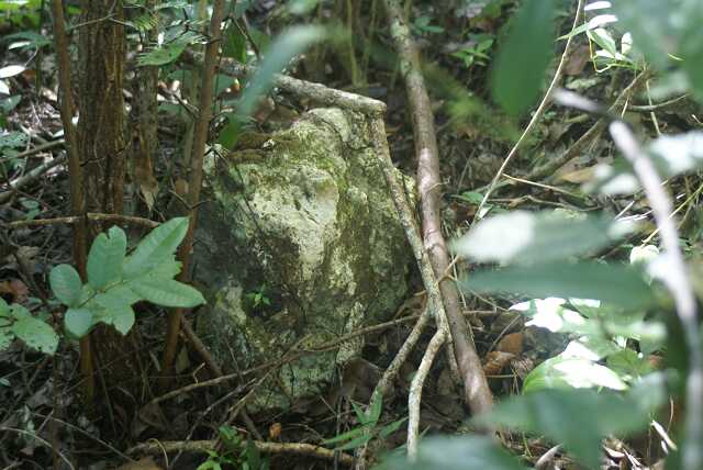 fi002736.jpg
