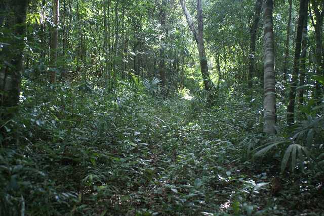 fi002748.jpg